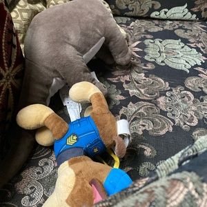 Meet your Posher, Walid